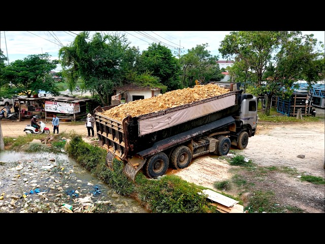 Incredible SHANTUI DH17C2 Pro! Clearing Flooded Forest Step by Step with Truck25 Ton Landfilling