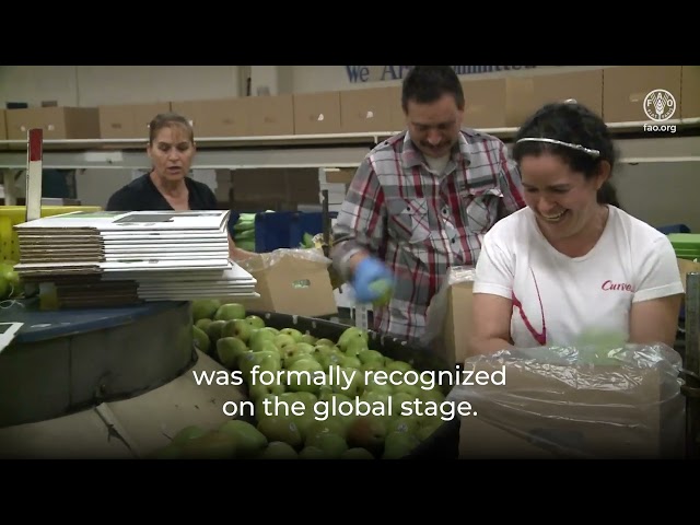 The Evolution of The State of Agricultural Commodity Markets and FAO’s Work on Trade and Food