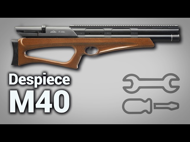 M40 PCP Air Rifle Transfer Port and Needle Disassembly