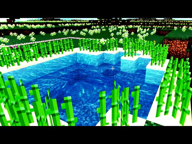 Minecraft Making A Sugar Cane Farm