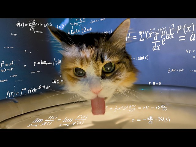 Cat drinking math problems loudly