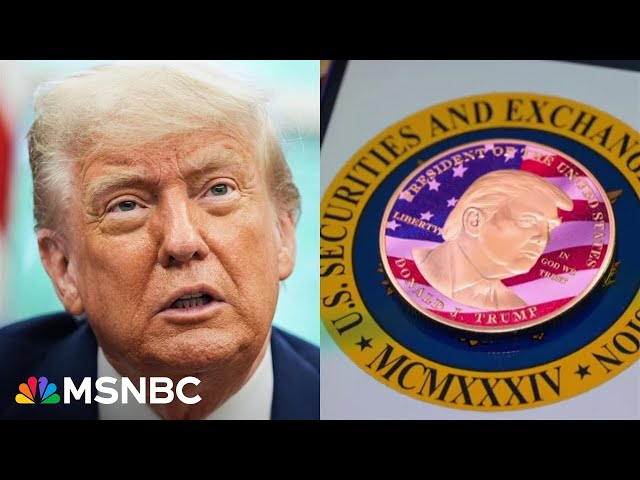Crypto assets ‘are the perfect vehicle for corruption’: Ethics expert on Trump meme coin