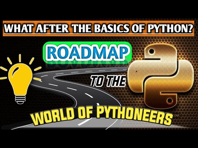 What after python basics?