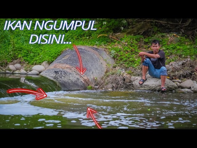 This location is suitable for those of you who love fishing, here tilapia fish are abundant
