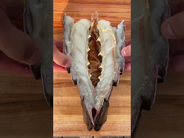 Lobster Revenge