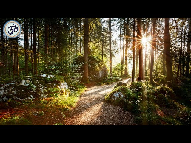 Música relajante con sonidos de la naturaleza, música del bosque, música del sueño, meditación