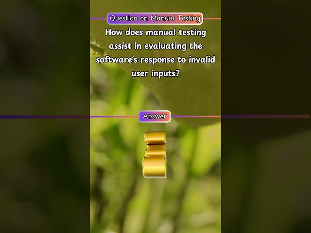 Top Manual Testing Viva Questions You Must Know! | Software Testing Interview Tips