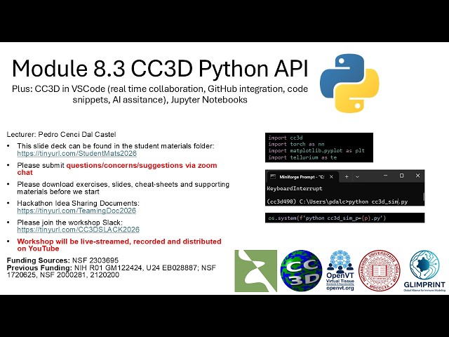 CompuCell3D WS 2026: 8.3: Using CC3D in VSCode [Pedro dal Castel] August 5, 2026