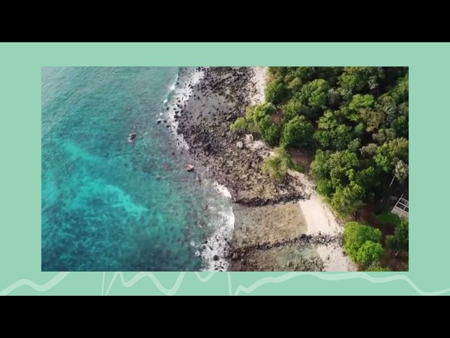 SOUND OF OCEAN WIVES, RELAXING