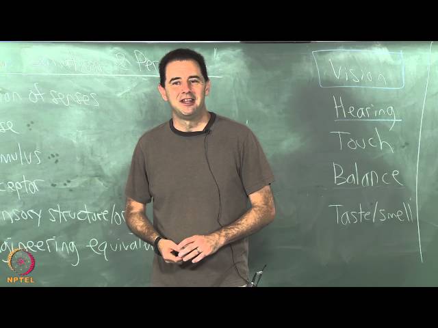 Birds-eye view (sensation and perception)