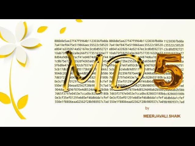 md5 algorithm