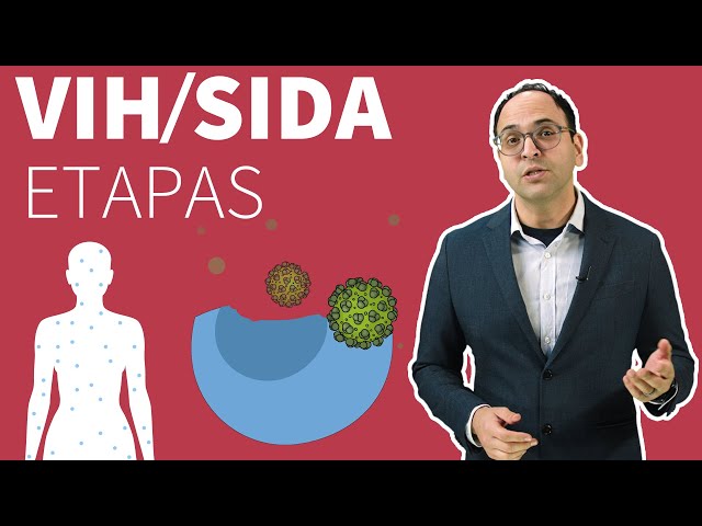 HIV and AIDS Stages | HIV and AIDS (Spanish)