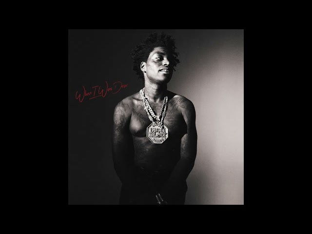 Kodak Black - Hard Life [Official Visualizer]