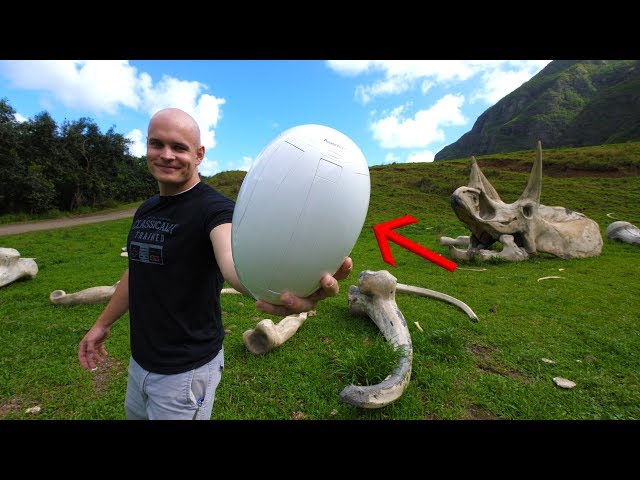 THIS is a DRONE....