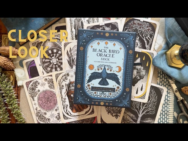 Exploring the NEW Black Bird Oracle Deck | First Pull + Deck Pairings
