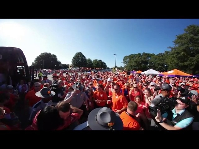 Tiger Walk in 360