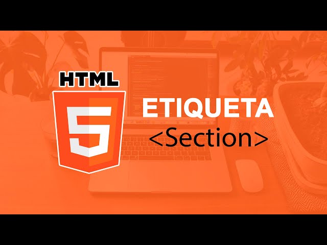 ¿Qué es Etiqueta Section en HTML?  👉  Curso de HTML5