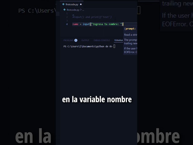 input() y print() en Python  #programming #programacion
