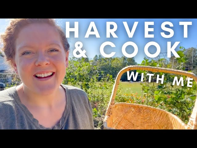 HARVEST & Cook With Me! | FARM TO TABLE