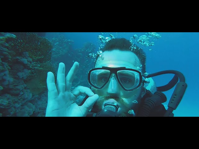 Our Vocation video Sharm El-Sheikh trip REDAL.eu