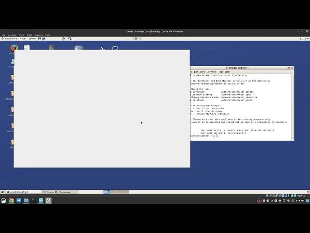 Oracle SQL Developer - 4  Connection Setup
