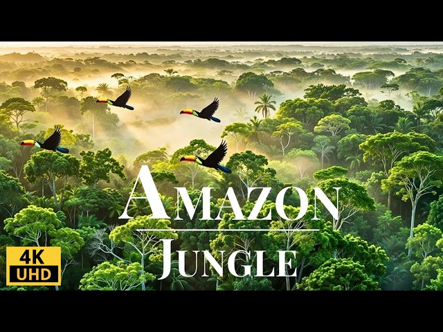 Wild Amazon in 4K: Amazing Animals & Landscapes | Nature Sounds | Relaxing Music