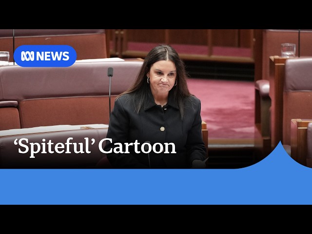 Jacqui Lambie slams 'nasty' One Nation cartoon mocking vaginal prolapse | ABC NEWS