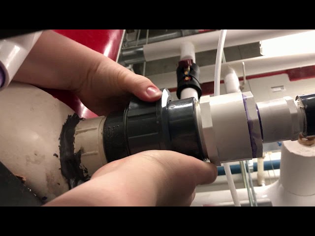 T1B PID Video_Samantha_Pappas