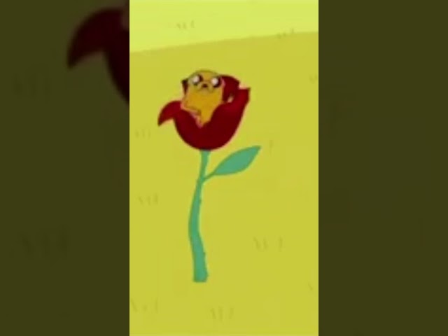 fin vete a la mrd 🔥  #memes #shitpostcompilation   #shitpost