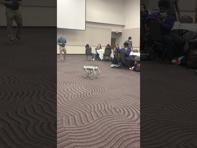 Go1 Side Intelligent Robot at Meharry Data Science Summer Academy