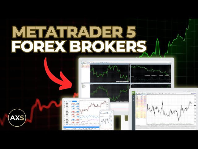 5 Best MetaTrader 5 (MT5) Forex Brokers in 2026