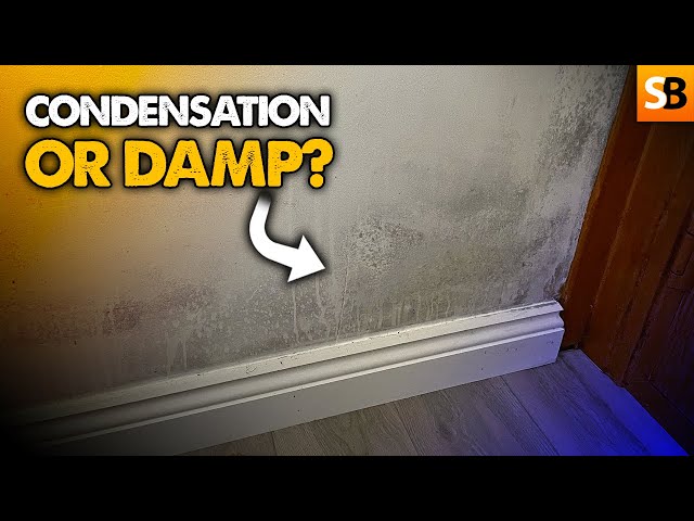 Is This Condensation or Rising Damp?
