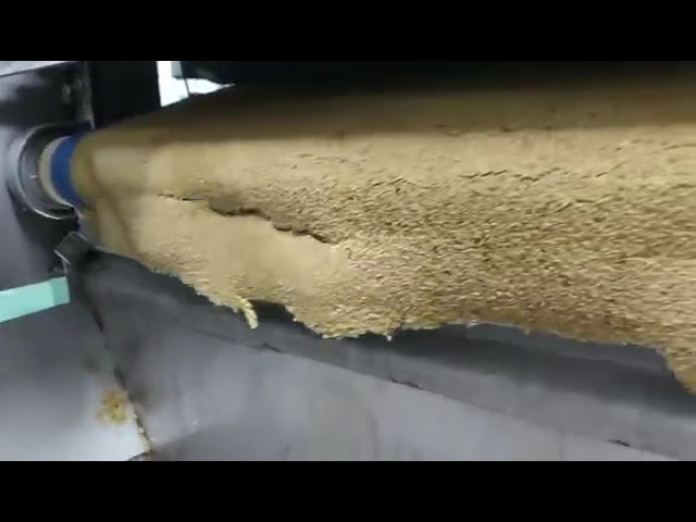 Fresh Fruit Processing - Apple and Pear Beverage Production Line Processing