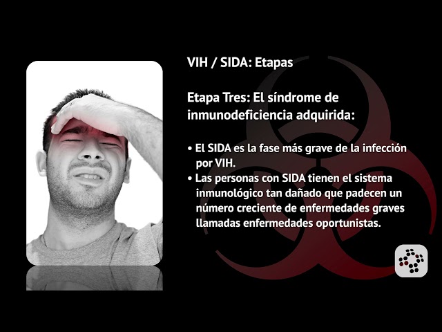 Stages of HIV / AIDS