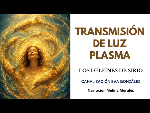 TRANSMISIÓN DE LUZ PLASMA 💗💫Los Delfines de Sirio🐬🦋Canalización Eva González