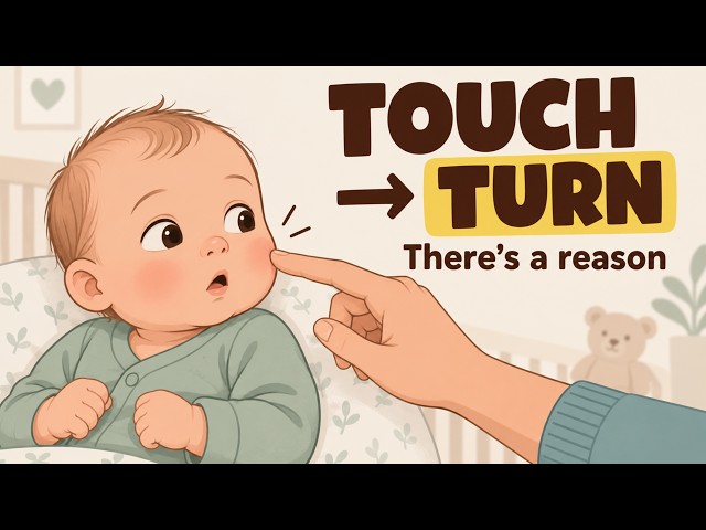 Why Touching a Newborn’s Cheek Triggers That Head Turn