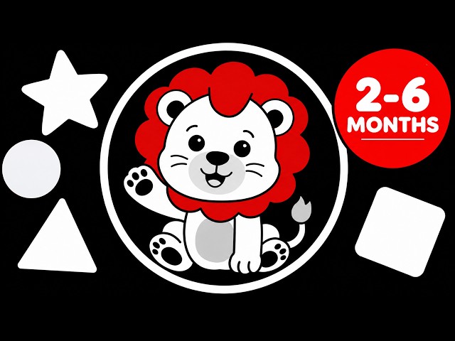 Black, White & Red Baby Sensory | Friendly Animals in Assorted Shapes | 4K