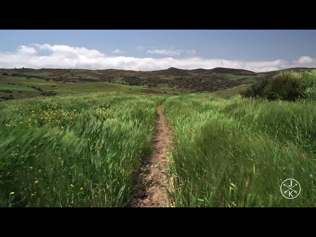 4K AV1 Test