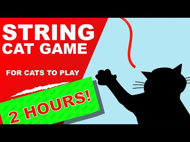 Cat Games: String 2 Hours 🙀 (addictive)