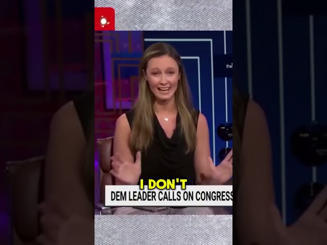 Emma Vigeland Schools MSNBC Panel | Eb&Flow
