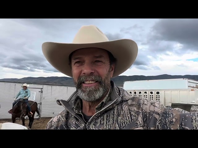 New song I wrote Wyoming Elk Hunt