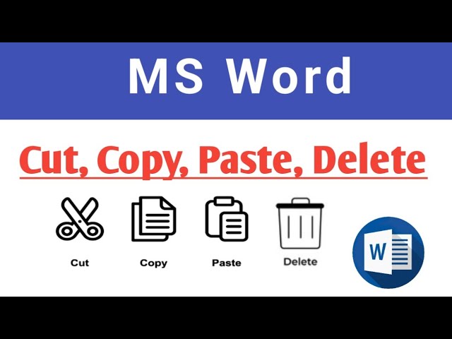 How to use Cut, Copy, Paste, Delete in Microsoft Word || Computer Basics