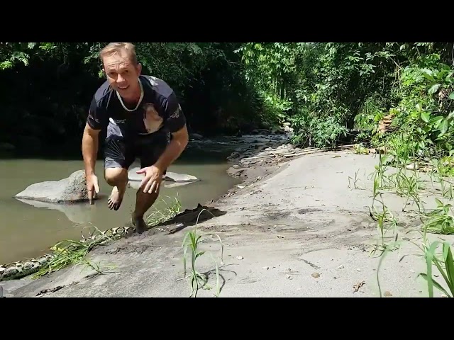 Witnessing record-breaking python species caught on camera