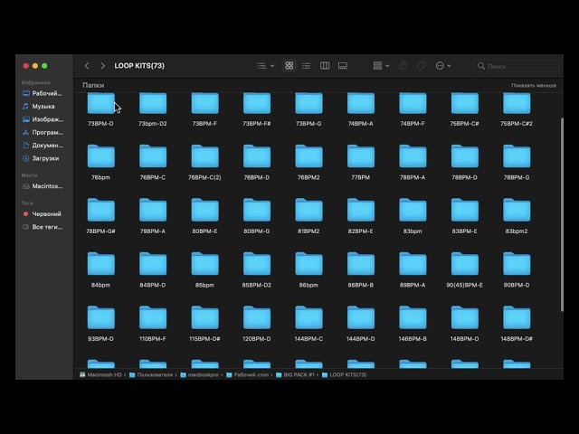 Sample Pack | Loop Kits (1000+wav)