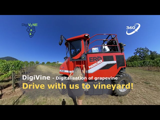 DigiVine (Digitalization of grapevine) - Drive with us to the vineyard! (360° VR)