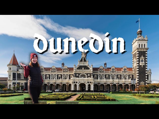 Dunedin Travel Guide (a New Zealand hidden gem!)