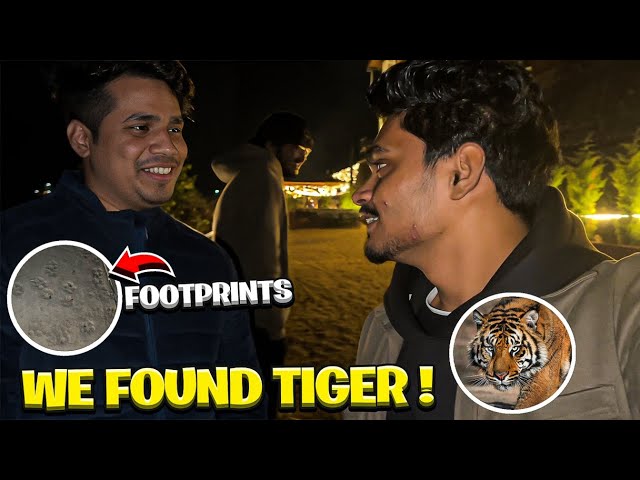 We Found Tiger in Jungle ft. @GamerFleet