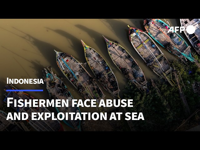 Indonesians overworked and abused on foreign fishing vessels | AFP