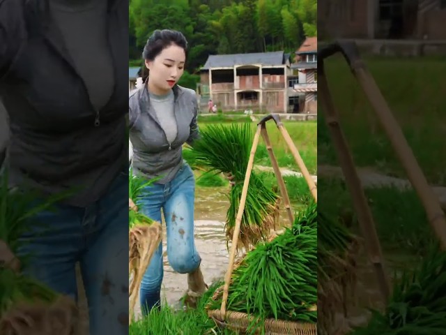 the real beauty of village farmer life 🌾 #countrylife #farmerroutine #ruralvlog