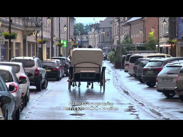 Prevoz slavljenca Milana z družbo po Brežicah